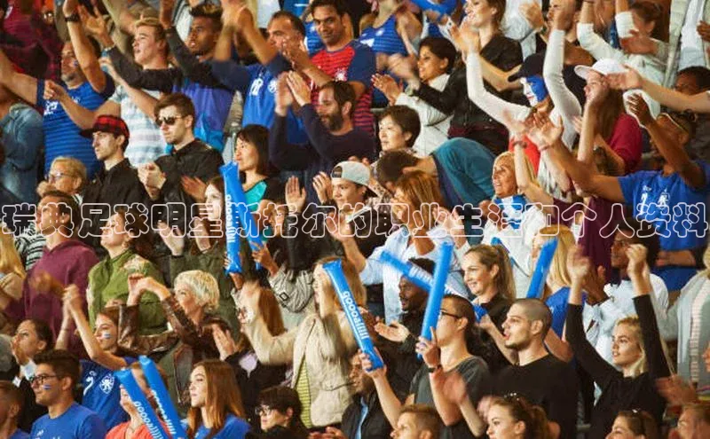 2121非凡体育官网下载链接百家号瑞典足球明星斯托尔的职业生涯和个人资料