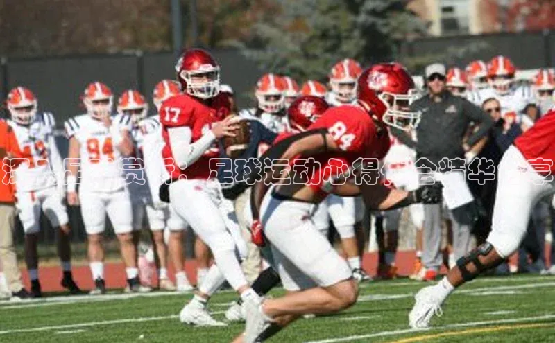 非凡官网登录入口荣信文化深入足球赏析：足球运动心得体会精华分享