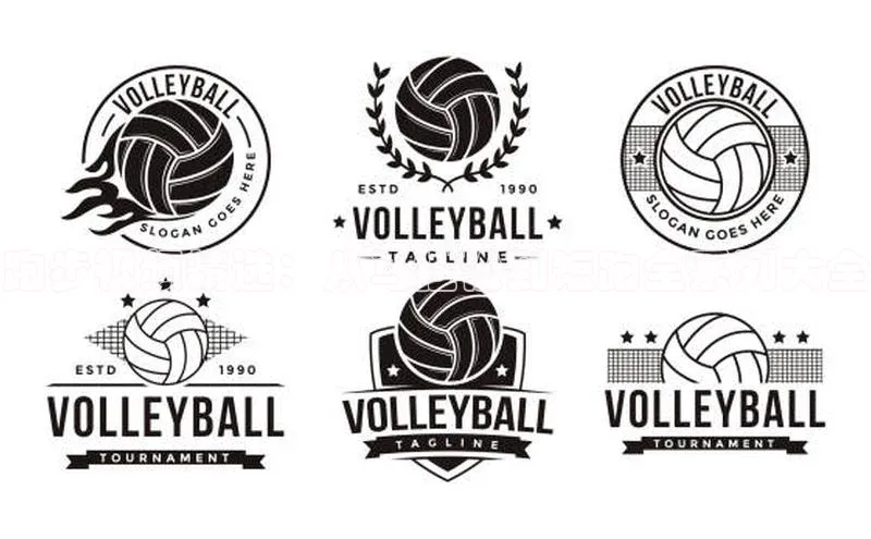 2121非凡体育官网下载链接百家号跑步视频精选：从马拉松到短跑全系列大全