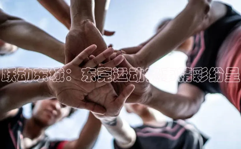 非凡体育官网百度大脑跃动东城：东莞运动赛事精彩纷呈