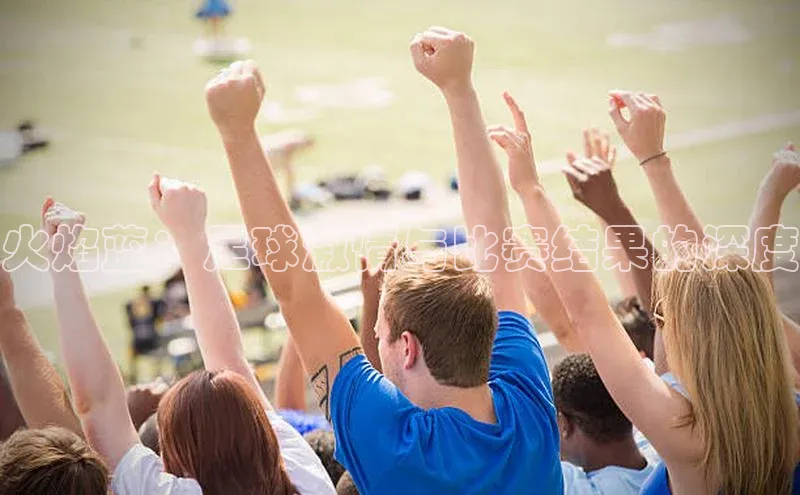 2121非凡体育官网下载链接金山办公火焰蓝：足球激情与比赛结果的深度