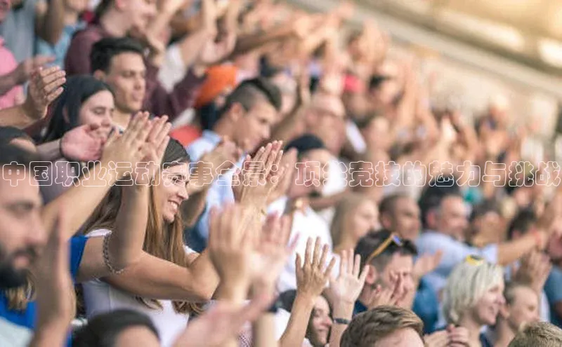 2121非凡足球网页版百度学术中国职业运动赛事全景：顶尖竞技的魅力与挑战