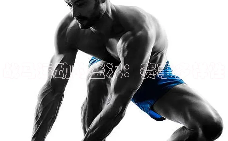 战马运动的盛况：赛事多样性