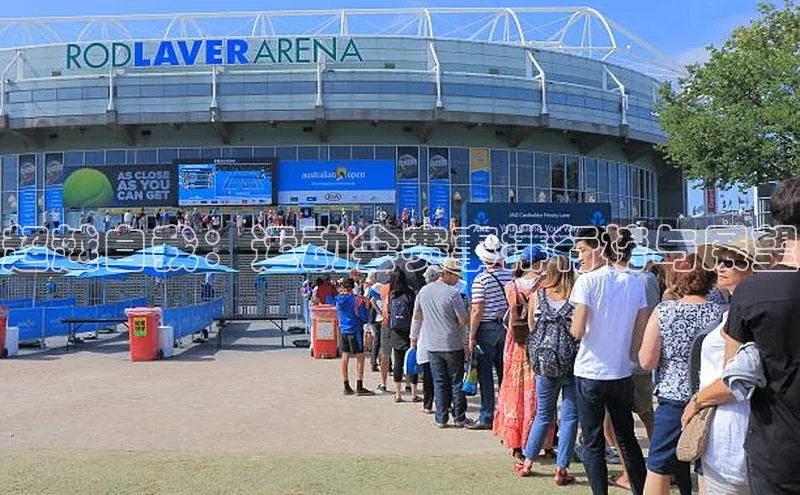 超越自我：运动会赛事排行榜与展望