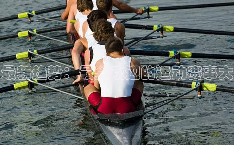 最新趋势：最受欢迎的运动赛事大