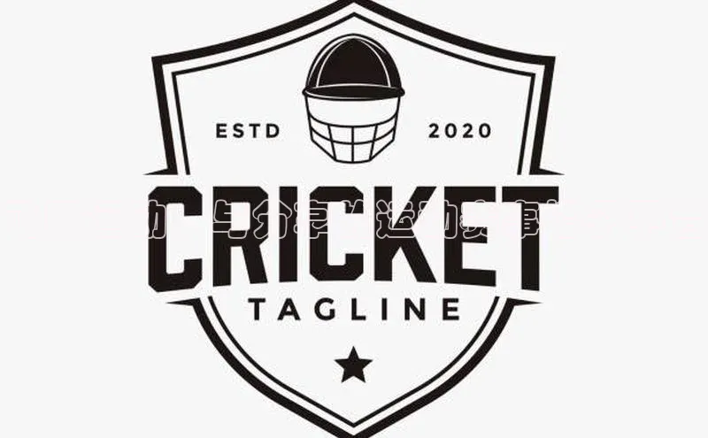 飞跃运动：与分享的运动赛事搭子平台