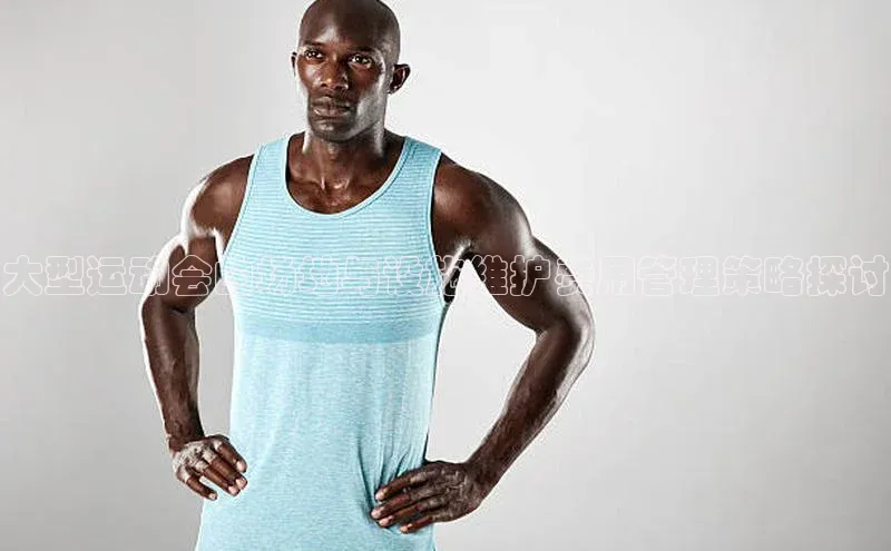 大型运动会的场地与设施维护费用管理策略探讨