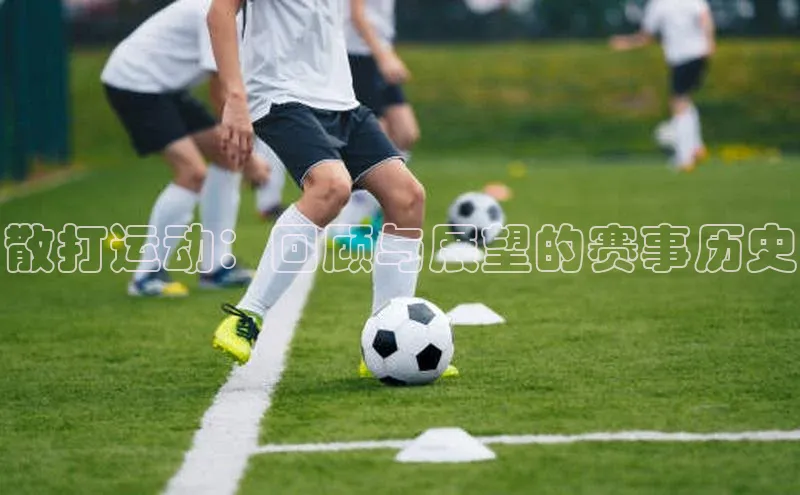 散打运动：回顾与展望的赛事历史