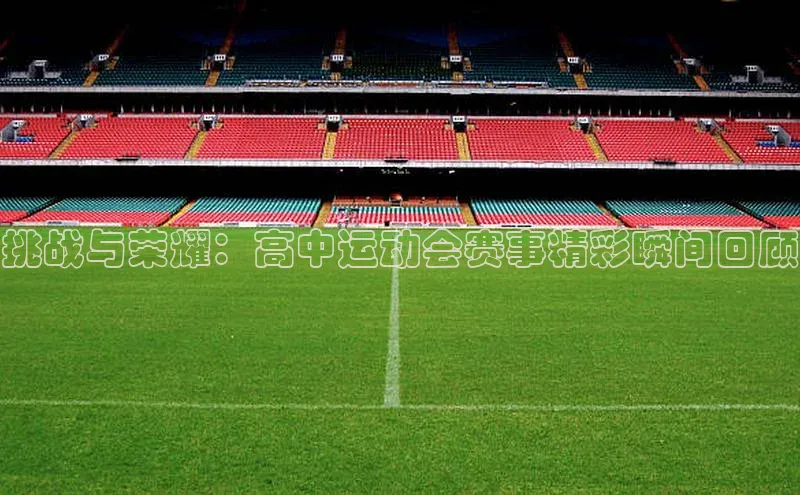 挑战与荣耀：高中运动会赛事精彩瞬间回顾