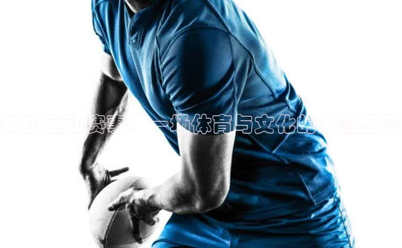 新田运动赛事：一场体育与文化的交融盛宴