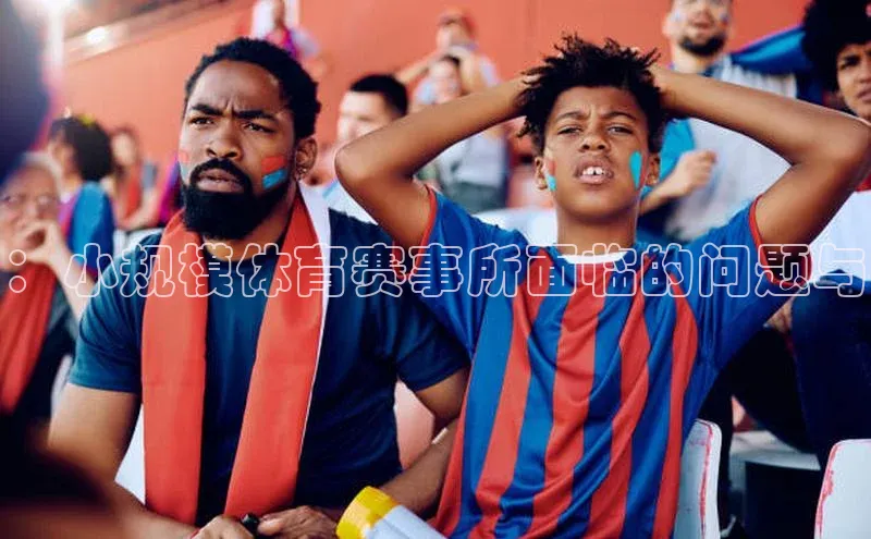 ：小规模体育赛事所面临的问题与