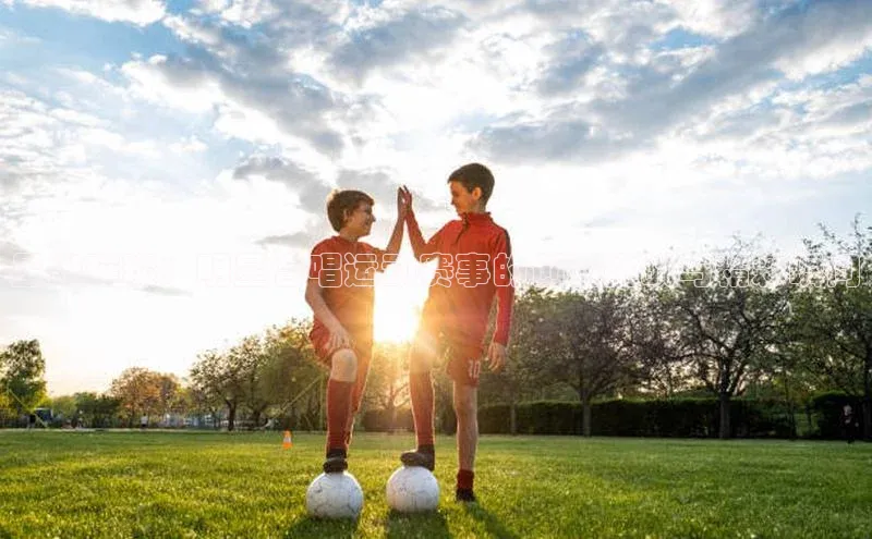 2121非凡体育安卓版