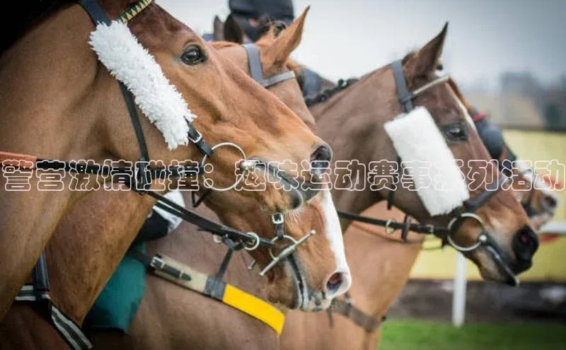 警营激情碰撞：趣味运动赛事系列活动