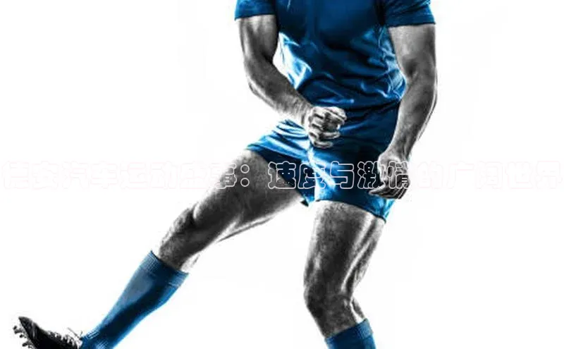 德安汽车运动盛事：速度与激情的广阔世界