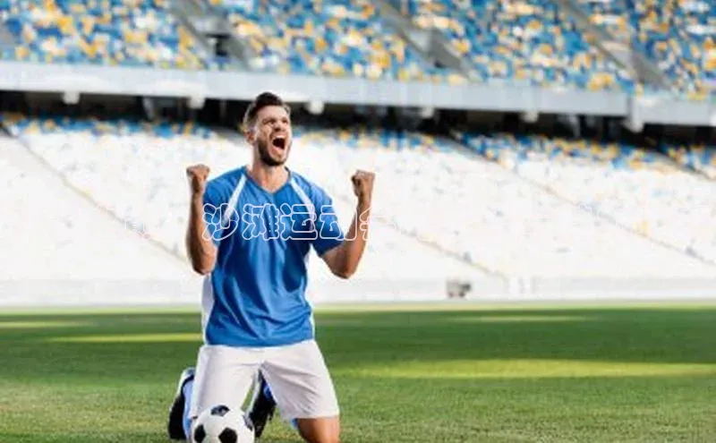 沙浪之巅：沙滩运动会的挑战与魅力竞赛